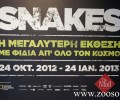 Κατασχέθηκαν 11 ελληνικά φίδια από την παράνομη πολυδιαφημισμένη έκθεση «Snakes» (βίντεο)
